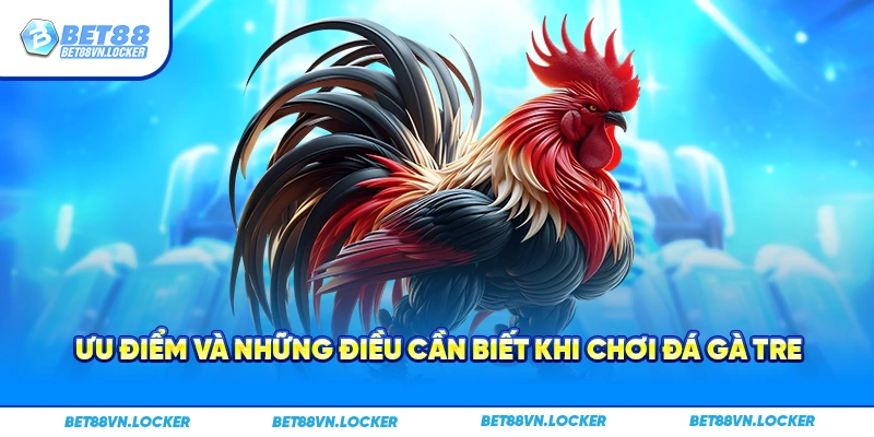 Ưu điểm và những điều cần biết khi chơi đá gà tre